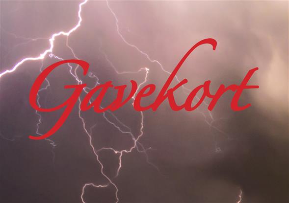 Gavekort